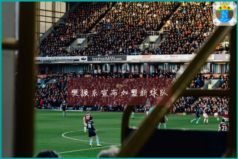 樊振东宣布加盟新球队